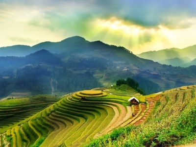 Rice-fields-on-terraced-