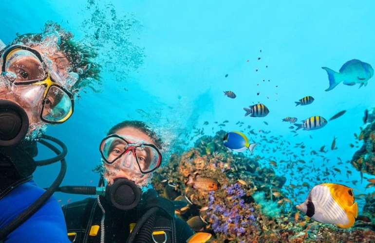 Exploring the Underwater Wonders of Santorini: A Dive into Sea Life