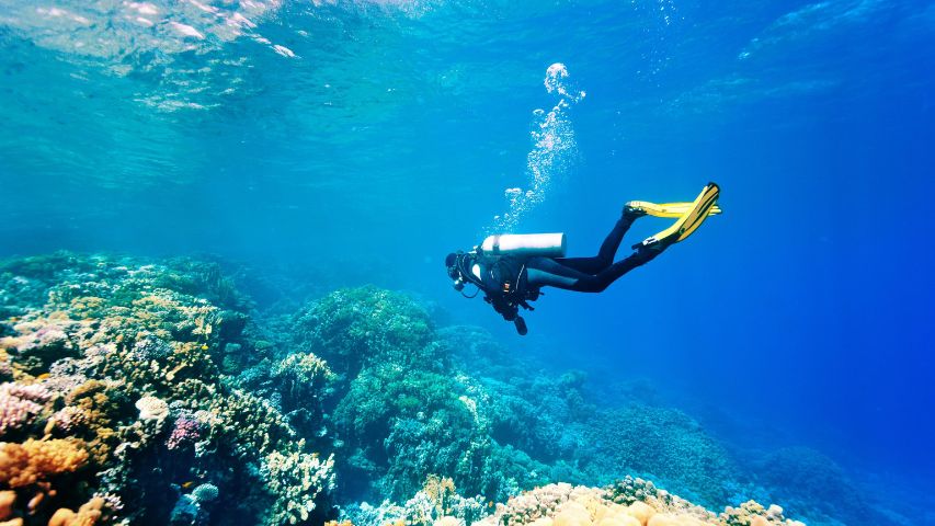 Underwater wonders of Santorini