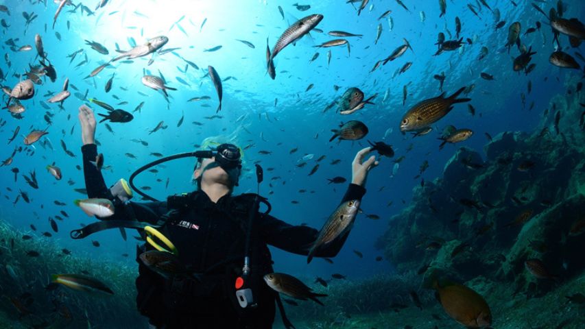 Underwater wonders of Santorini