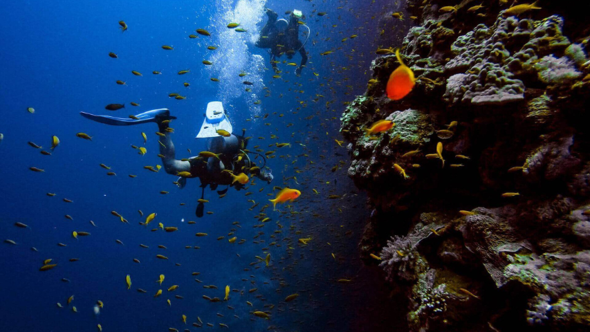 Santorini's Underwater Paradise