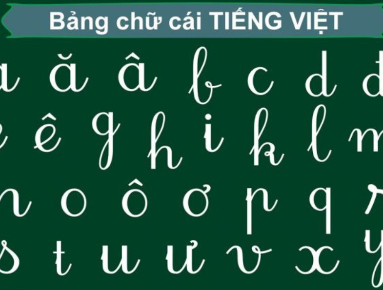 Vietnam language