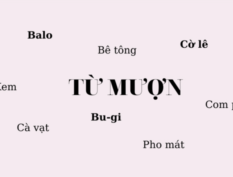 Vietnam language