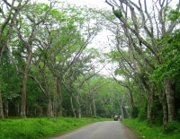 Cuc Phuong National Park