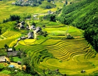 Explore Sapa Homestay