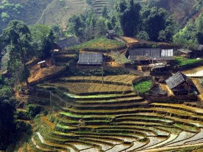 Rice fields in the mountains