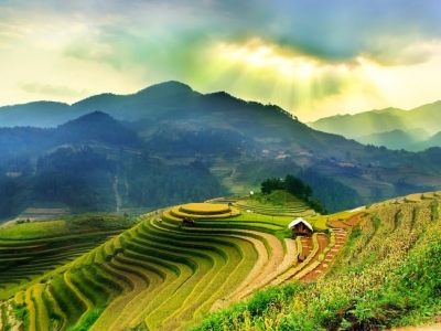 Rice fields on terraced of Mu Cang Chai