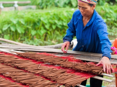 Drying-incense-sticks