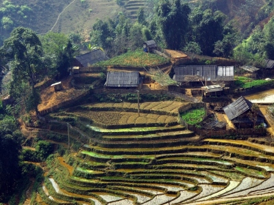Rice-fields-in-the-mountains