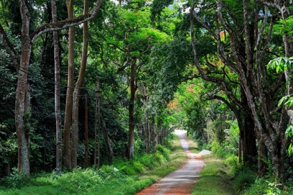 Trekking Cuc Phuong National Park