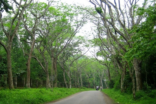 Cuc Phuong National Park