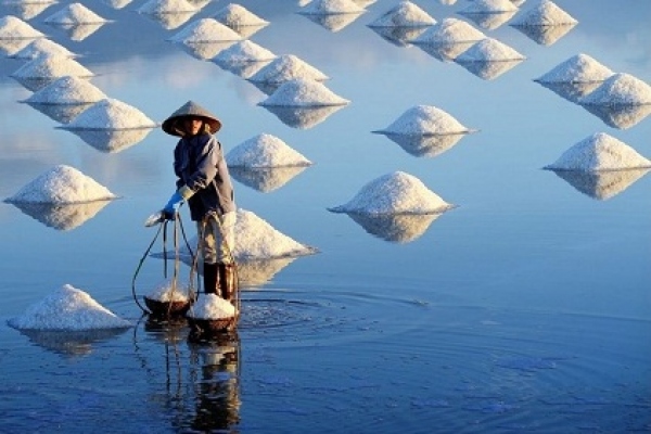 Exploring Bac Lieu salt fields