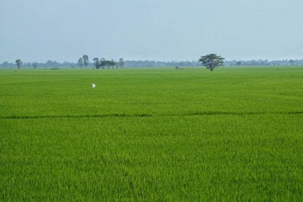 When to visit Mekong Delta