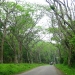 Cuc Phuong National Park