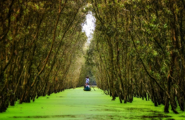 The top things that you should do when traveling to Mekong Delta