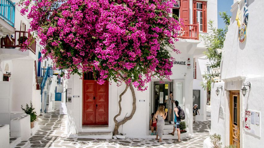 Cycladic Wonders of Santorini