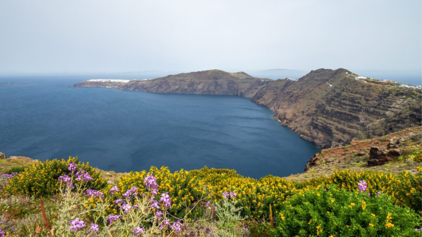 Santorini's Underwater Beauty