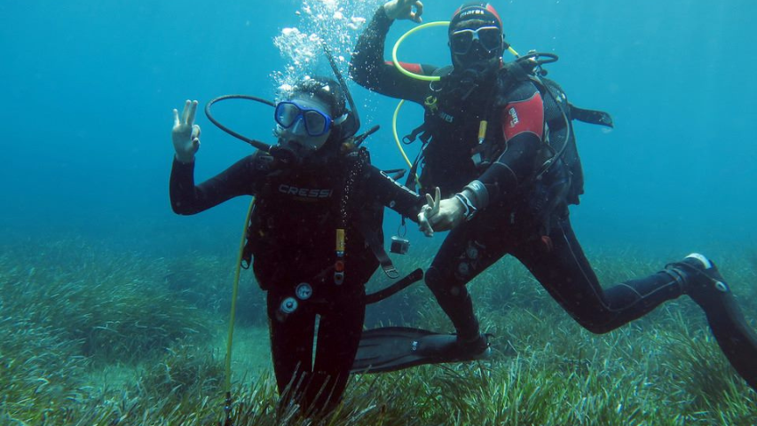 Santorini's Underwater Paradise