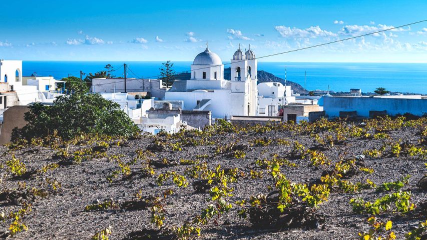 Santorini wine culture