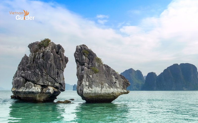 Ha Long Bay Cruise