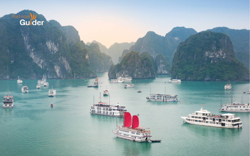 Ha Long Bay Cruise