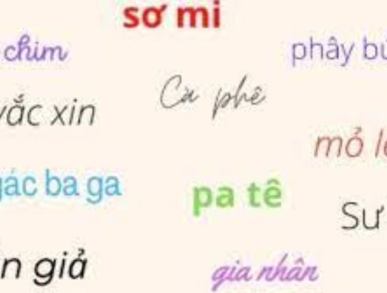 Vietnam language